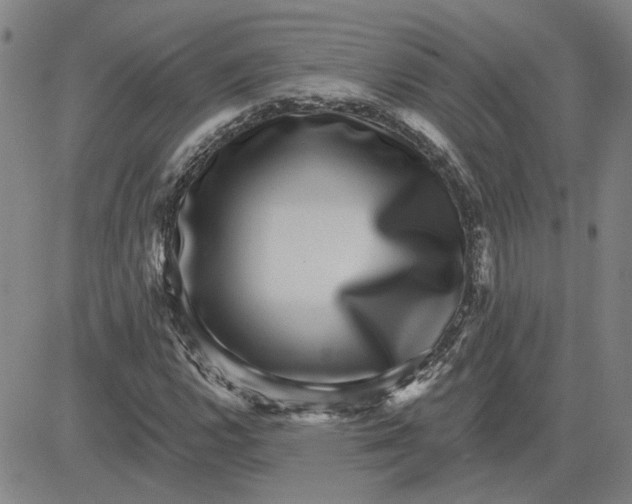 X0000080721112200701051027