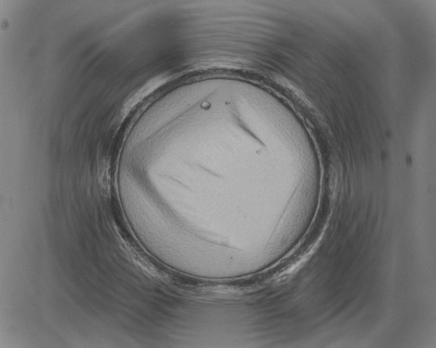 X0000080721113200701051027