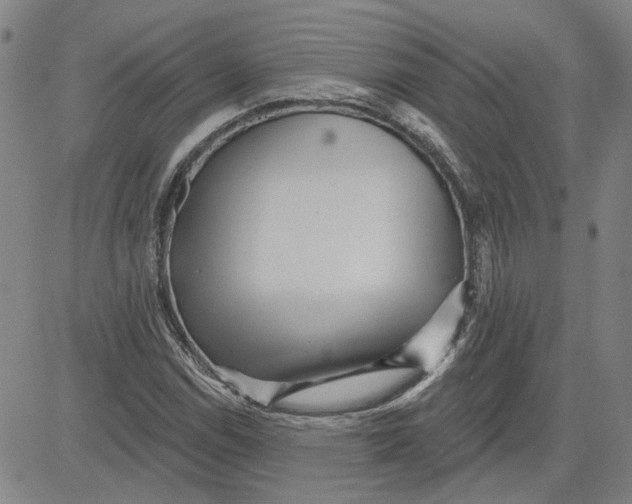 X0000080721114200701051027