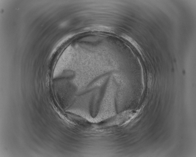 X0000080721115200701051027