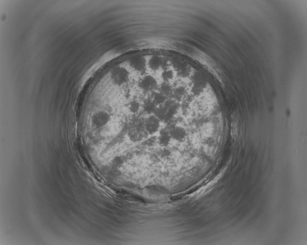 X0000080721117200701051027