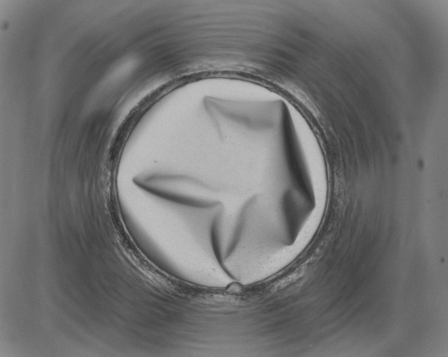 X0000080721119200701051027