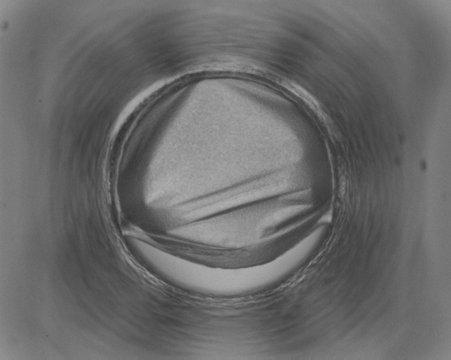 X0000080721120200701051027