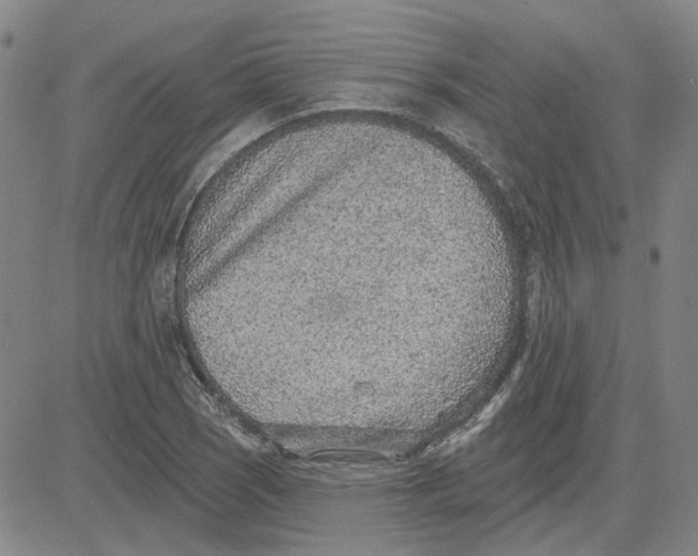 X0000080721121200701051027