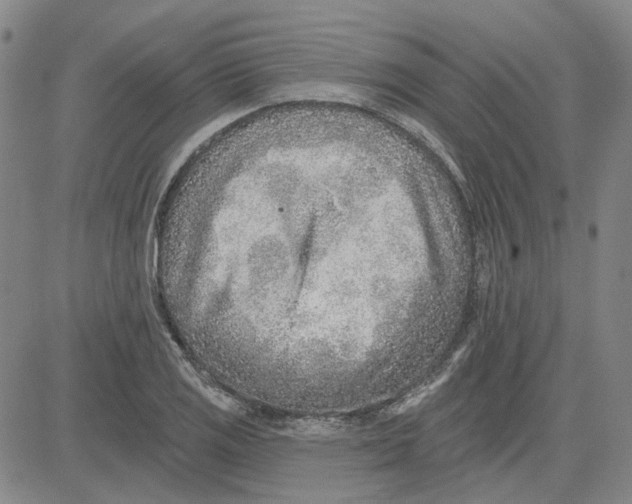 X0000080721125200701051027