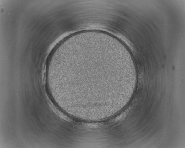 X0000080721126200701051027