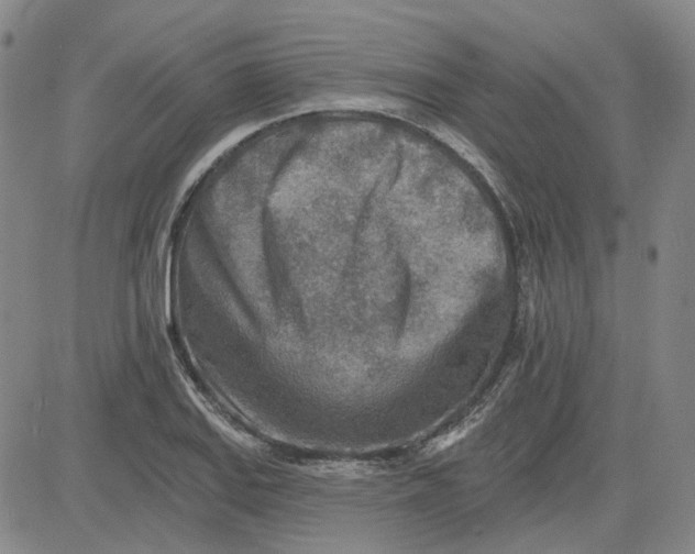 X0000080721127200701051027