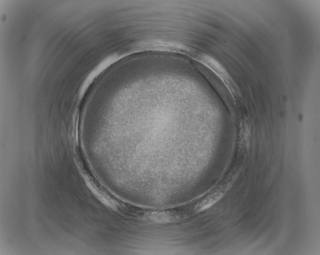 X0000080721128200701051027