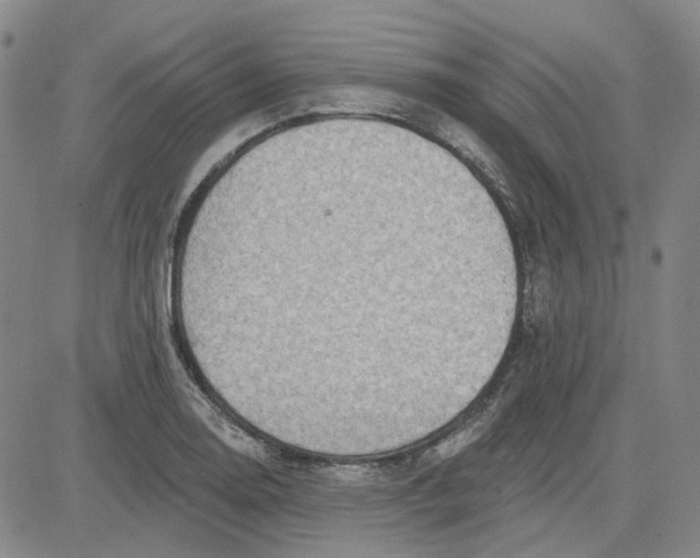 X0000080721130200701051027