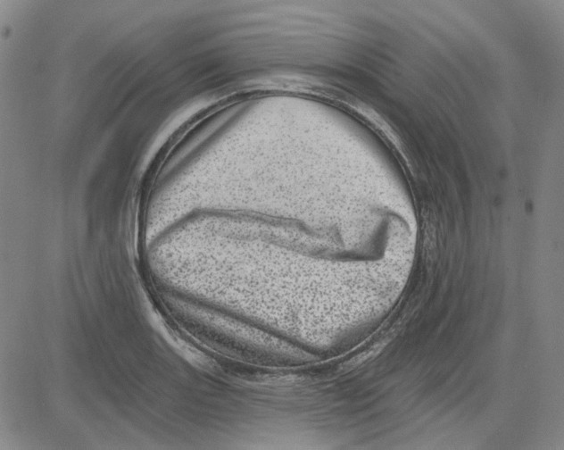 X0000080721131200701051028