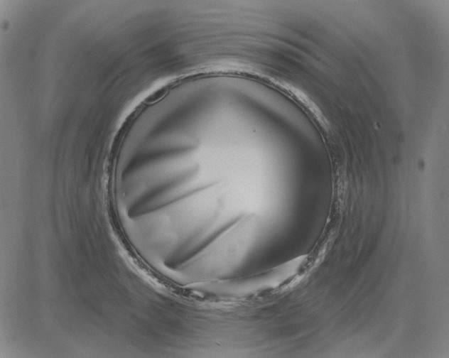 X0000080721134200701051028