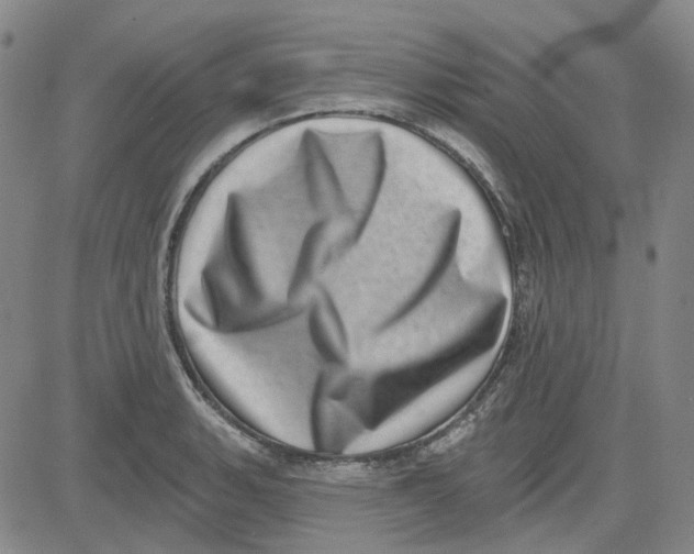 X0000080721135200701051028