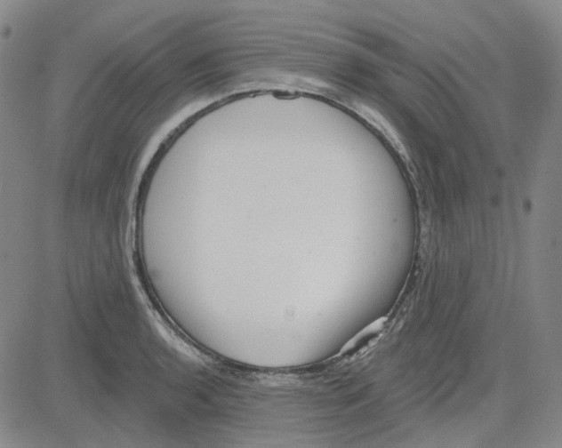 X0000080721136200701051028