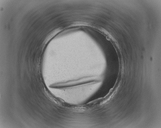 X0000080721137200701051028