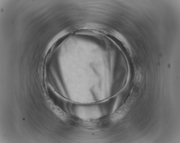 X0000080721138200701051028