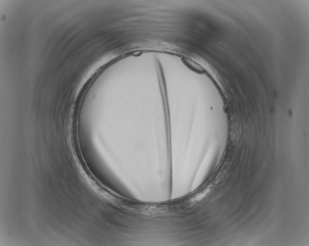 X0000080721139200701051028