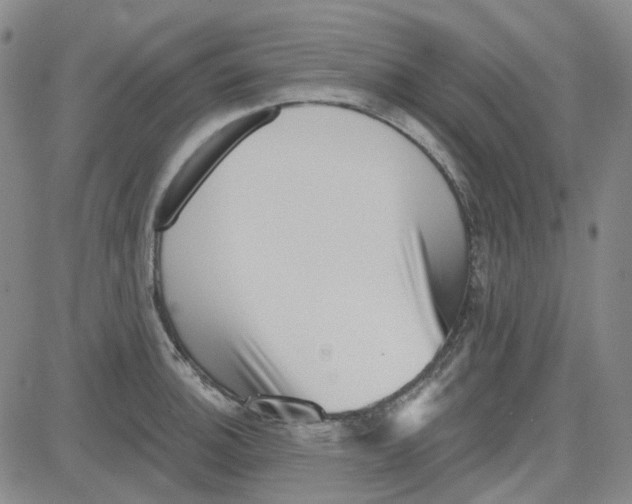 X0000080721140200701051028