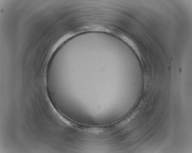 X0000080721141200701051028