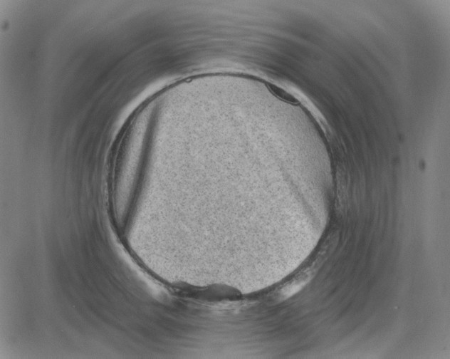 X0000080721142200701051028