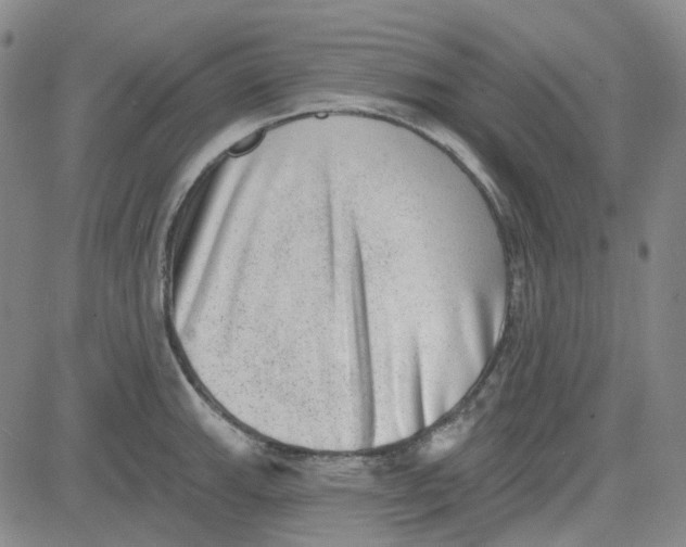 X0000080721143200701051028