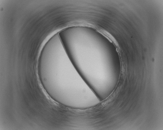 X0000080721144200701051028