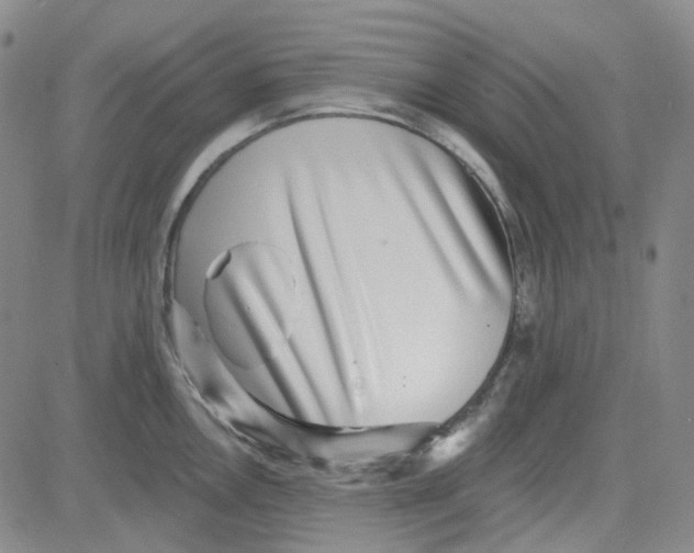 X0000080721146200701051028