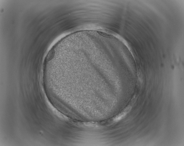 X0000080721147200701051028