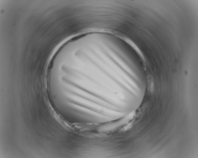 X0000080721148200701051028