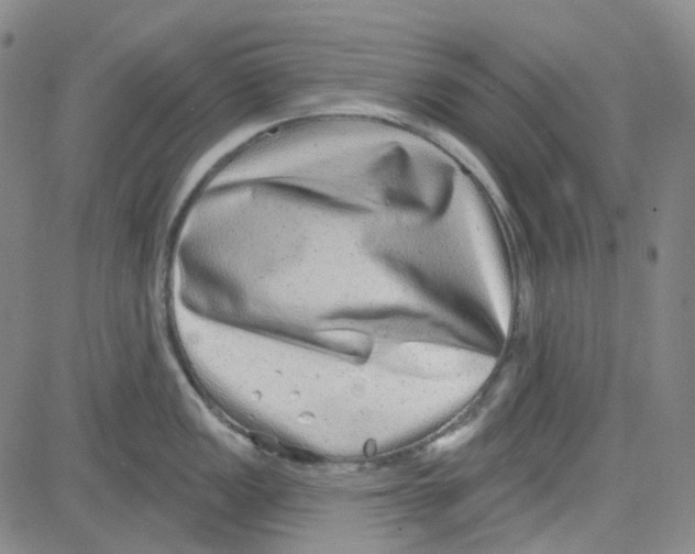 X0000080721149200701051028