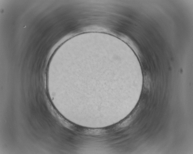 X0000080721150200701051028