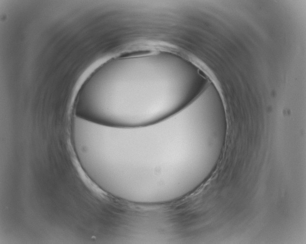 X0000080721152200701051028