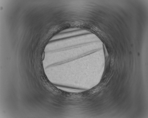 X0000080721153200701051027