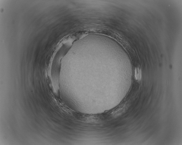 X0000080721155200701051027