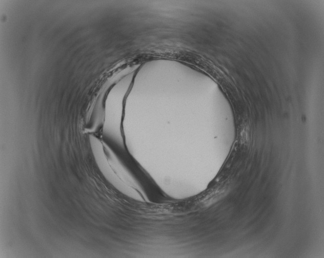 X0000080721156200701051027