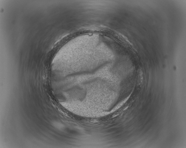 X0000080721158200701051027