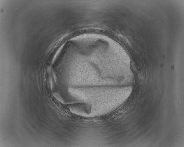 X0000080721159200701051027