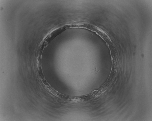 X0000080721160200701051027