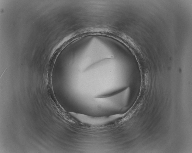 X0000080721165200701051027