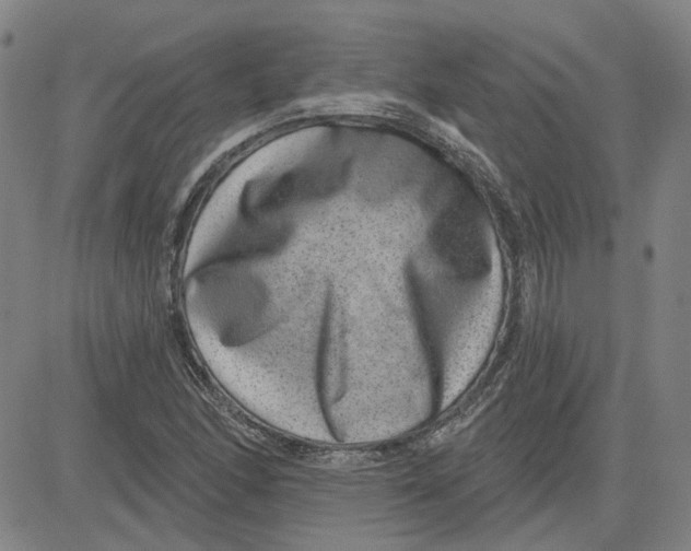 X0000080721166200701051027