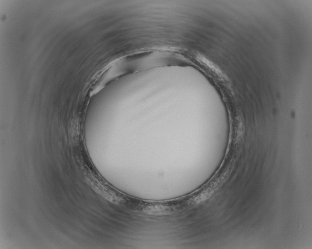 X0000080721169200701051027