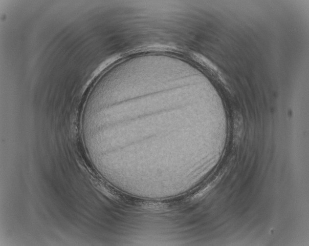 X0000080721170200701051027