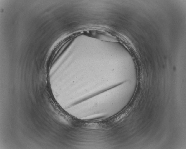 X0000080721172200701051027