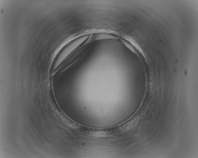 X0000080721173200701051027