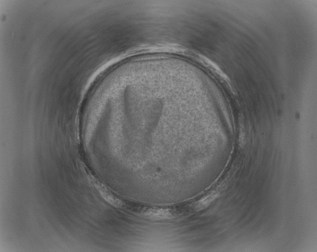 X0000080721174200701051027