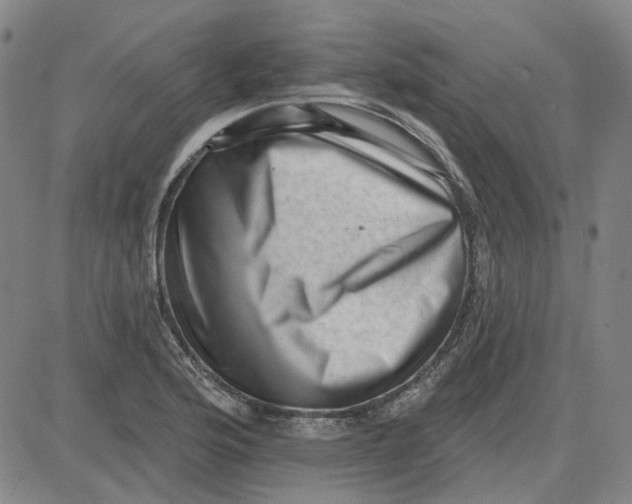 X0000080721176200701051027