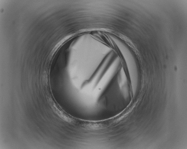 X0000080721177200701051027