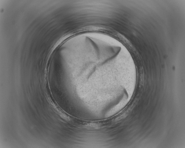 X0000080721178200701051027