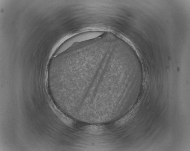 X0000080721179200701051027