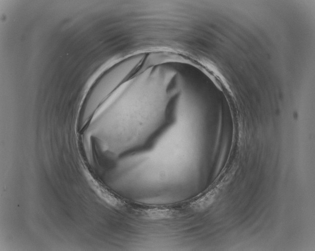 X0000080721181200701051027