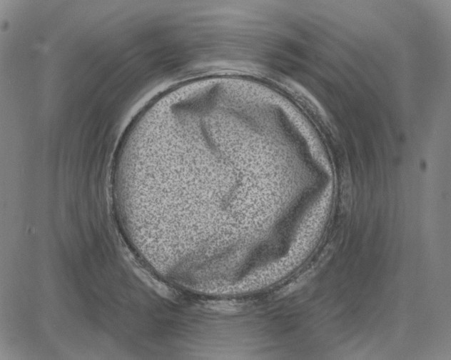 X0000080721182200701051027